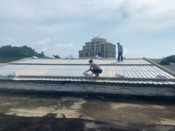 Chủ động triển khai ứng phó cơn Bão 10 (Bualoi)